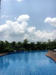 Riversound Residence (D19), Condominium #482871721